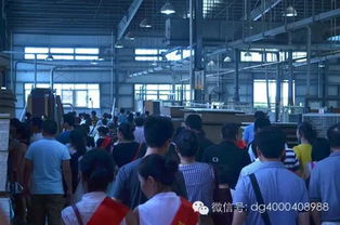 第5季“走进工厂 品质之旅”团购活动圆满落幕